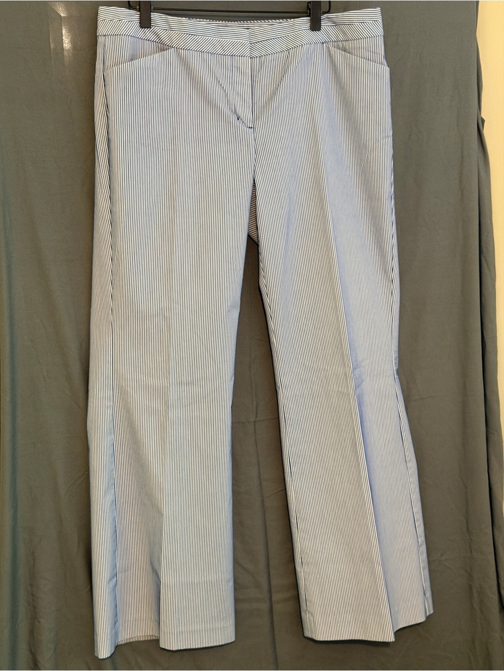 Express Editor Blue and White Striped Pants